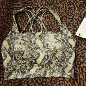 Buffbunny Revolution Sports Bra. NWT